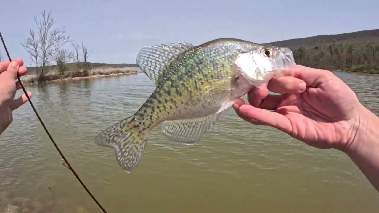 What a Crappie day! || PA Ultralight Crappie Fishing