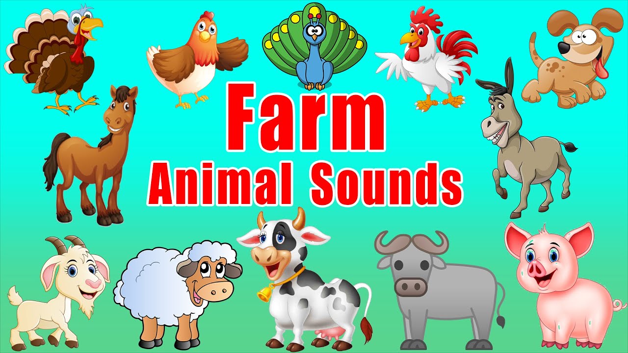 Farm Animal Sounds 0088 | Animal Sounds for Babies | LittleKidsTV