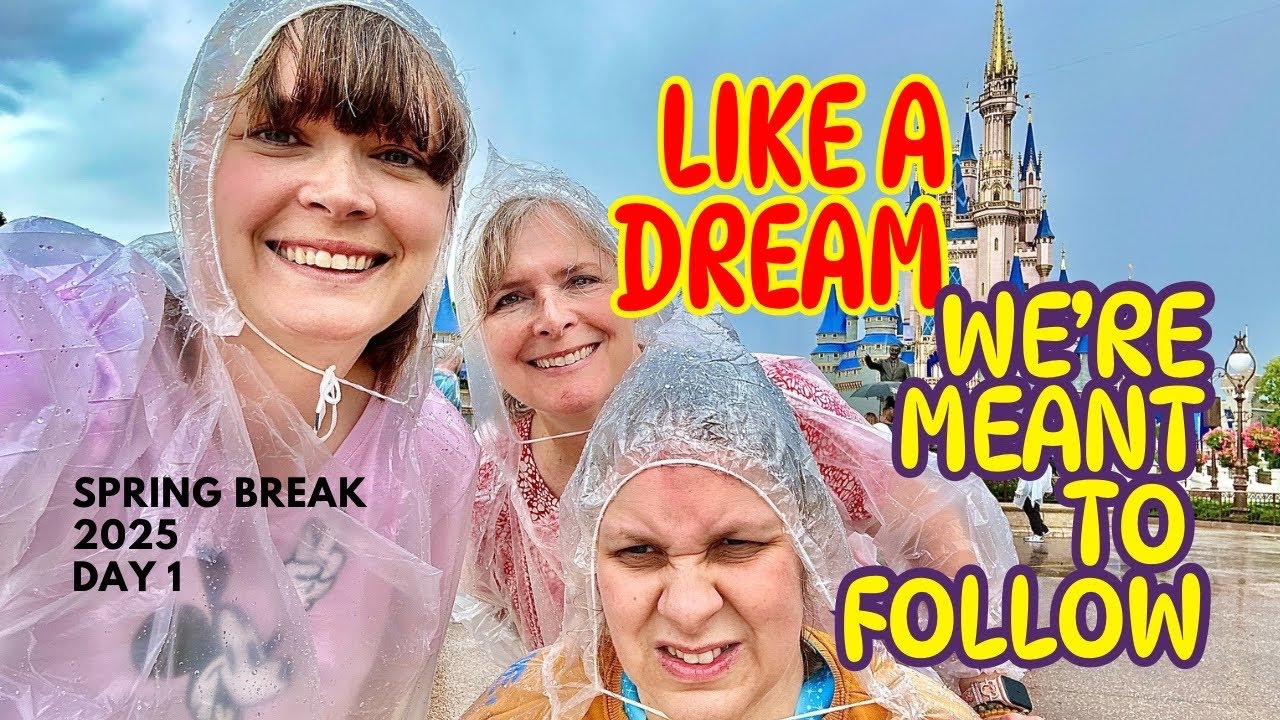 Like a Dream We're Meant to Follow