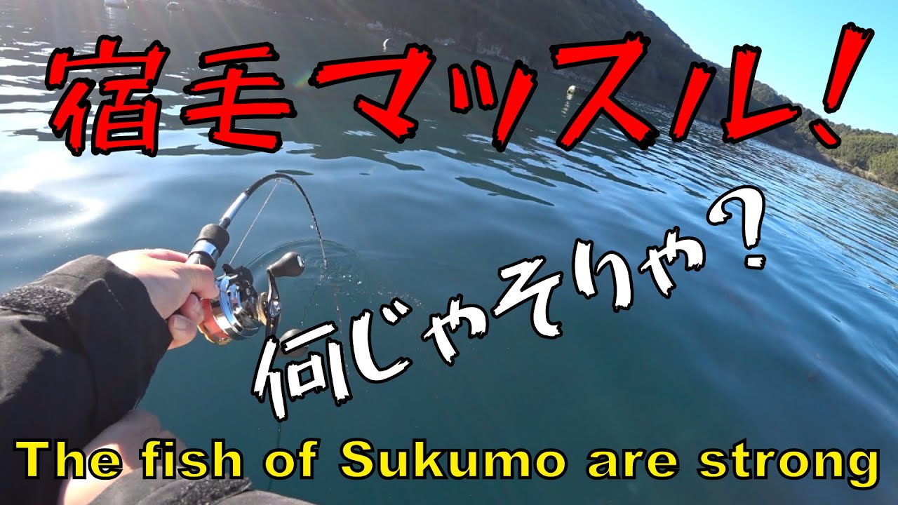 【ダンゴ釣り】宿毛の魚は本気マッスル？！もう笑うしかないW 釣行2日後から全身筋肉痛だぜW