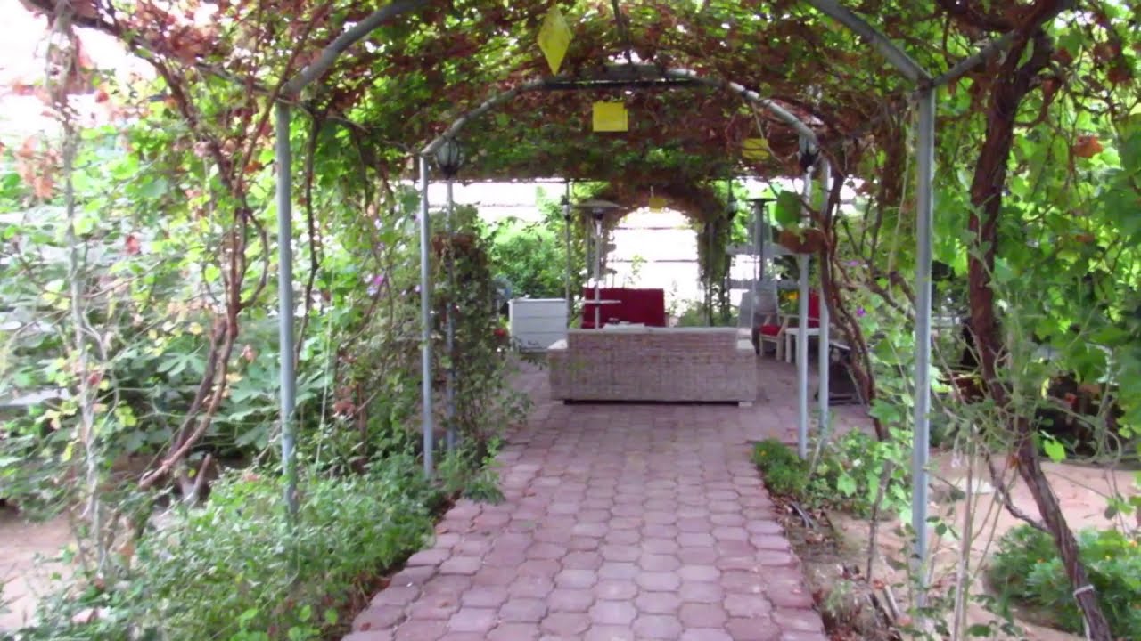 محمية الكريباني فواكه