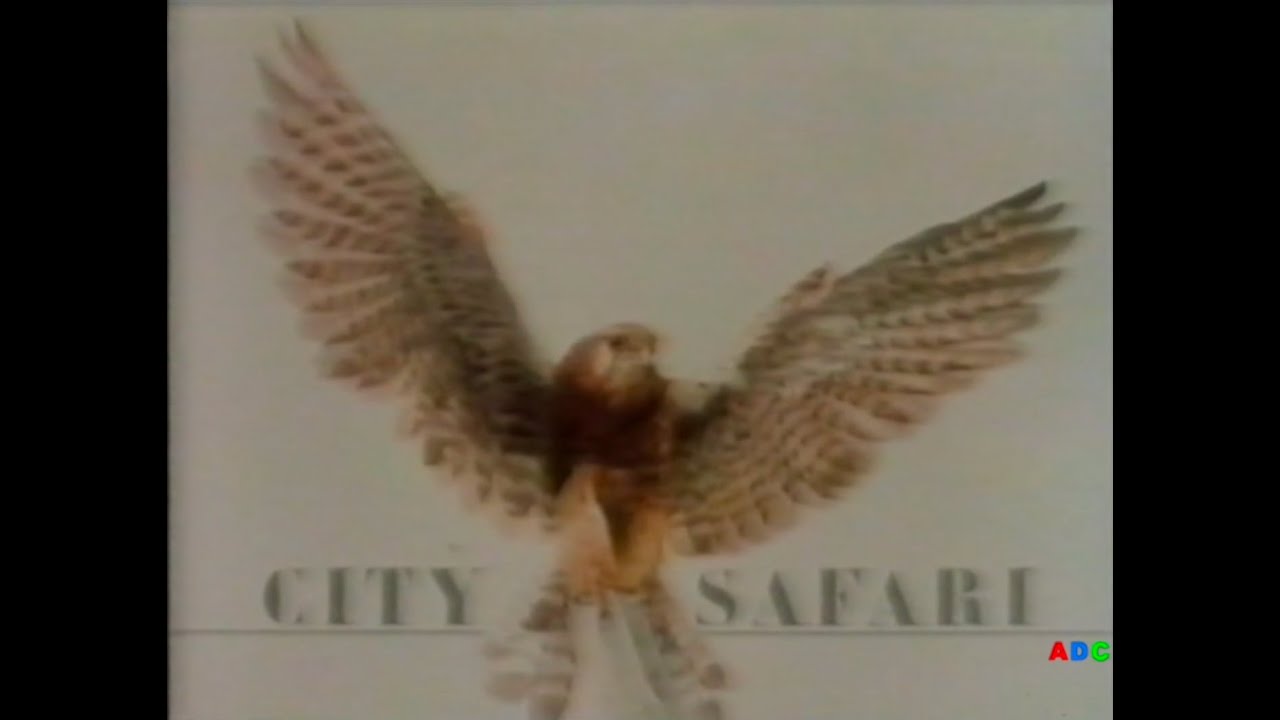 City Safari LWT Production 1986 (2)