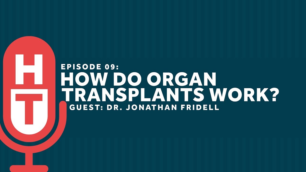 Organ Transplants are AMAZING