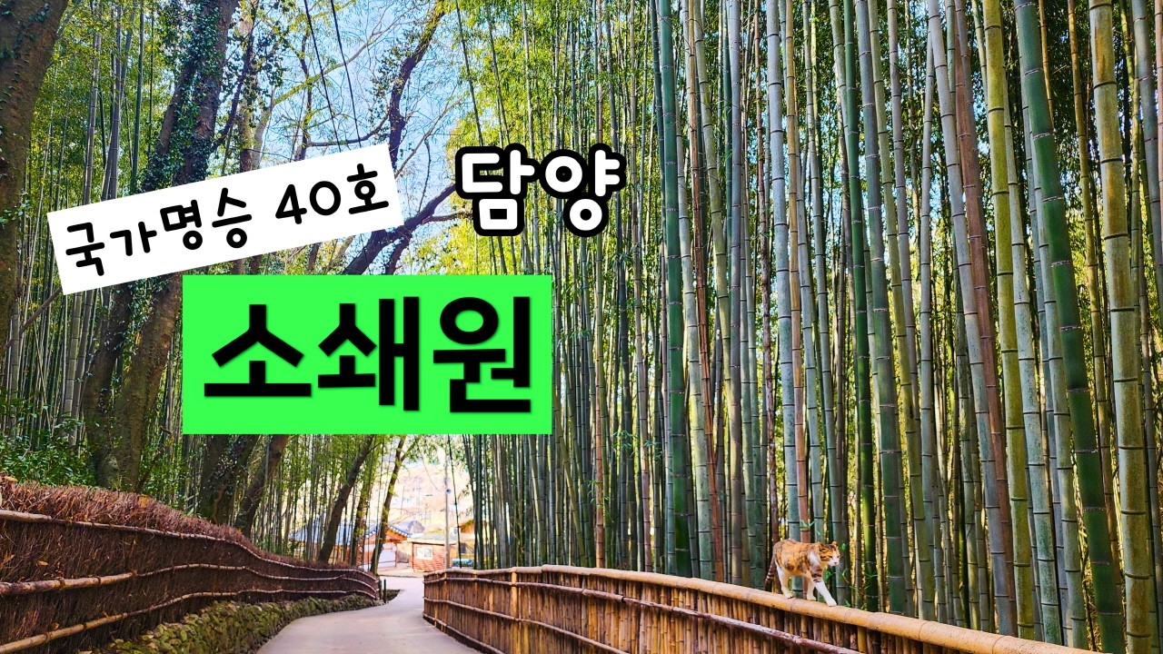 담양여행 필수코스 국가명승40호 민간 원림 소쇄원(26년3월풍경)