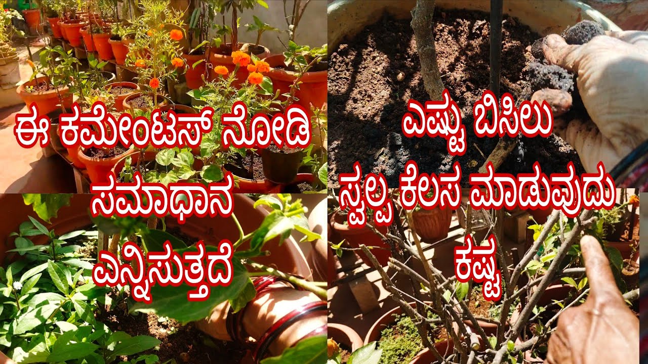 #ಈ_ಕಮೇಂಟ್ಸ್_ನೋಡಿ_ವಿಡಿಯೋಗಳು_ಮಾಡುತ್ತಿರುವೇ//