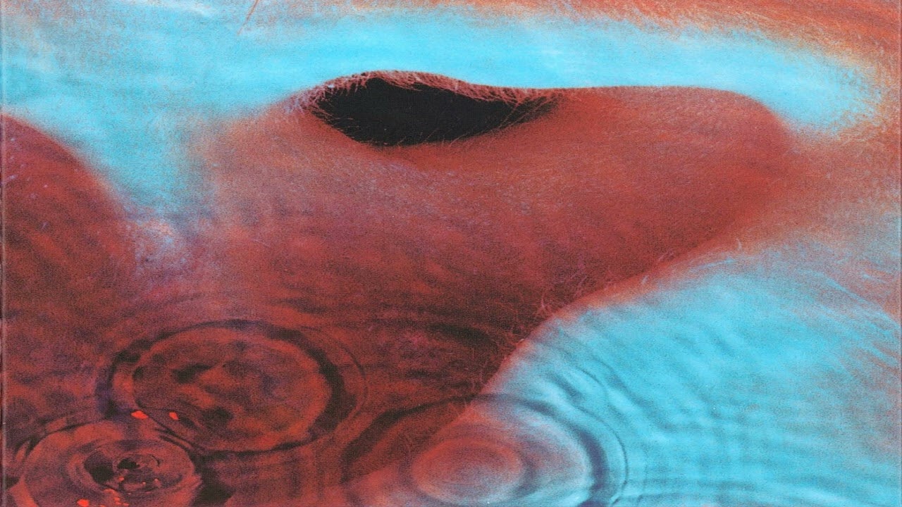 Pink Floyd - Echoes (GUITAR BACKING TRACK  w/VOICE)