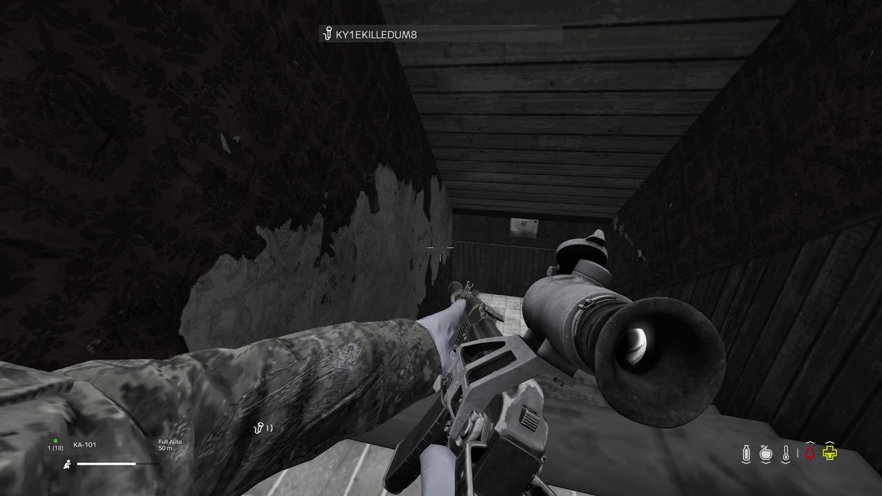 DayZ Irish man under seige