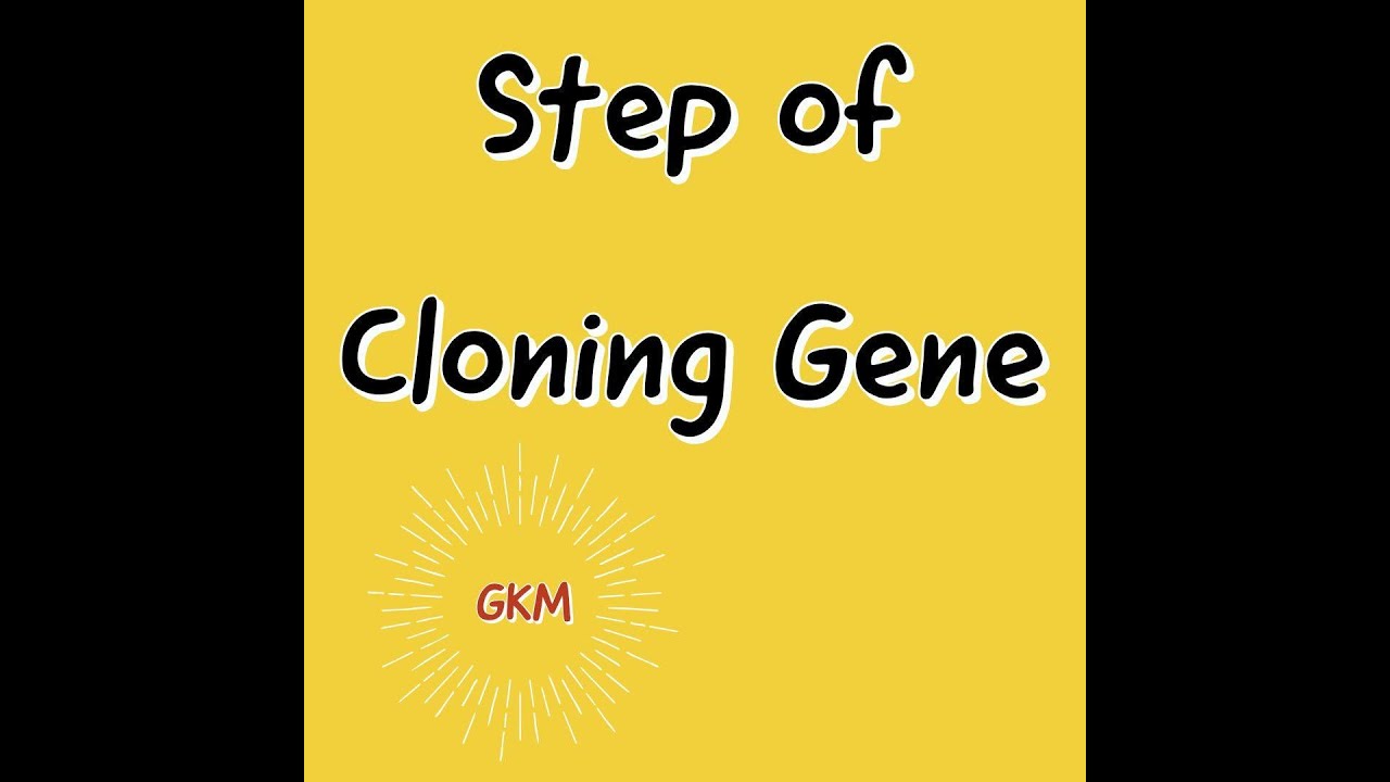 gkm - Step of Cloning Gene  |  خطوات كلونة الجين