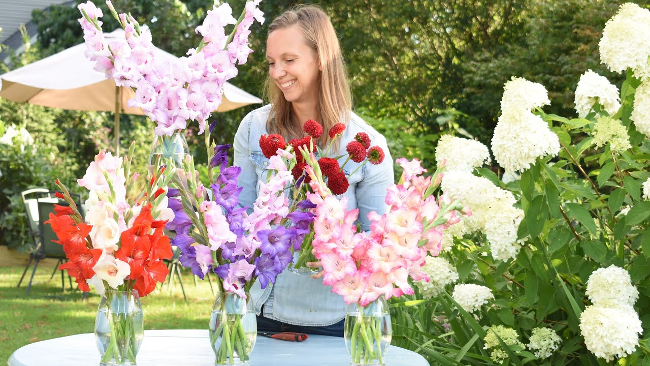 Gladiolus Bunches at the Flower Stand, Bouquet for Mom, Drying Hydrangeas // Northlawn Flower Farm