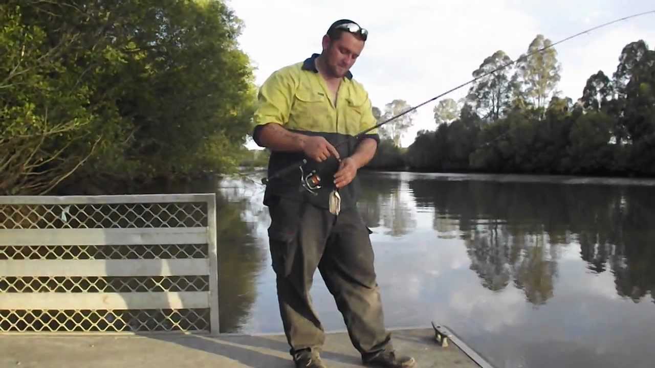 How to catch Logan River Bull Sharks