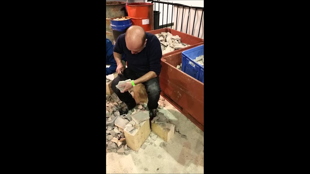 Bologna Mineral Show 2015 - Ricerca dei fossili di Bolca