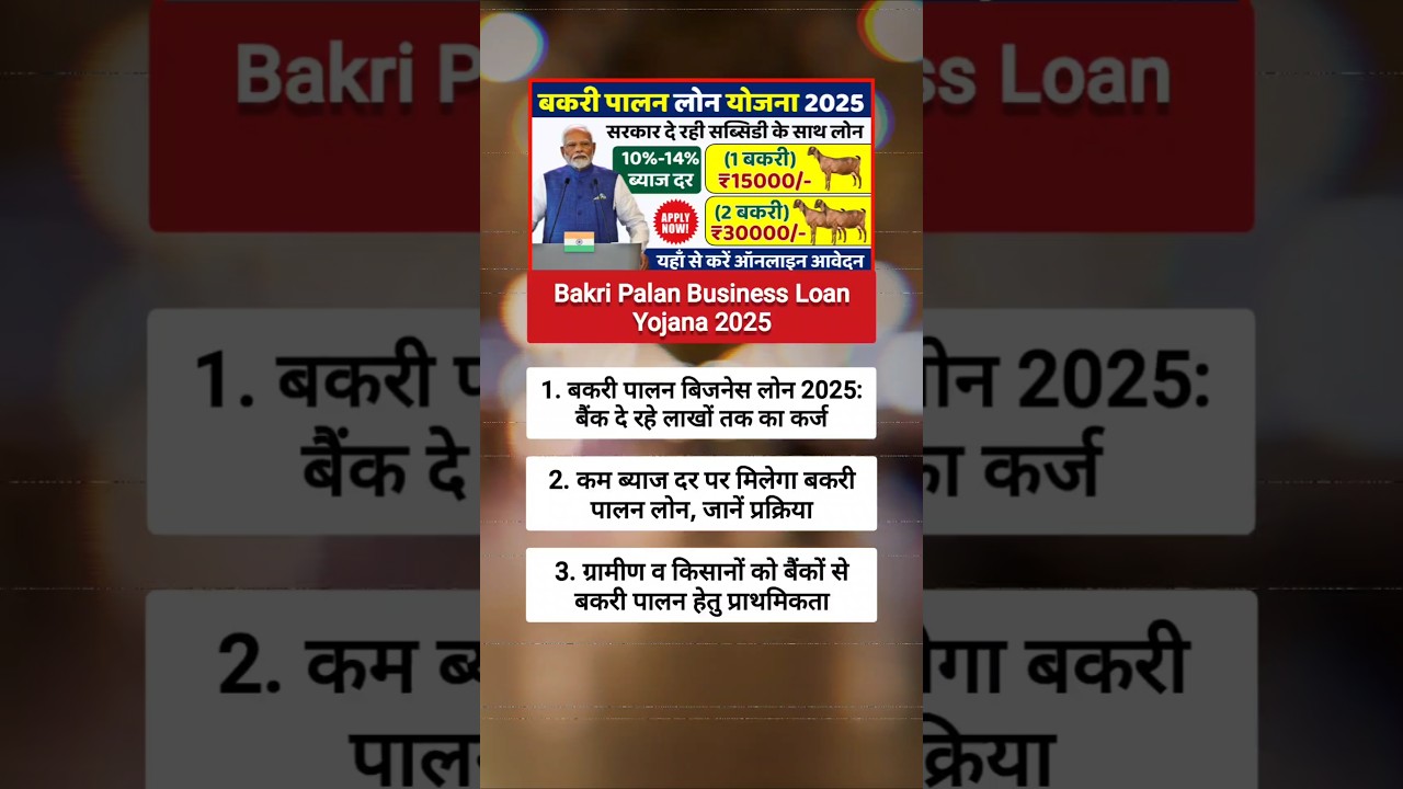 🤯 Bakri Palan Business Loan Yojana 2025 🤯 || #shorts #news