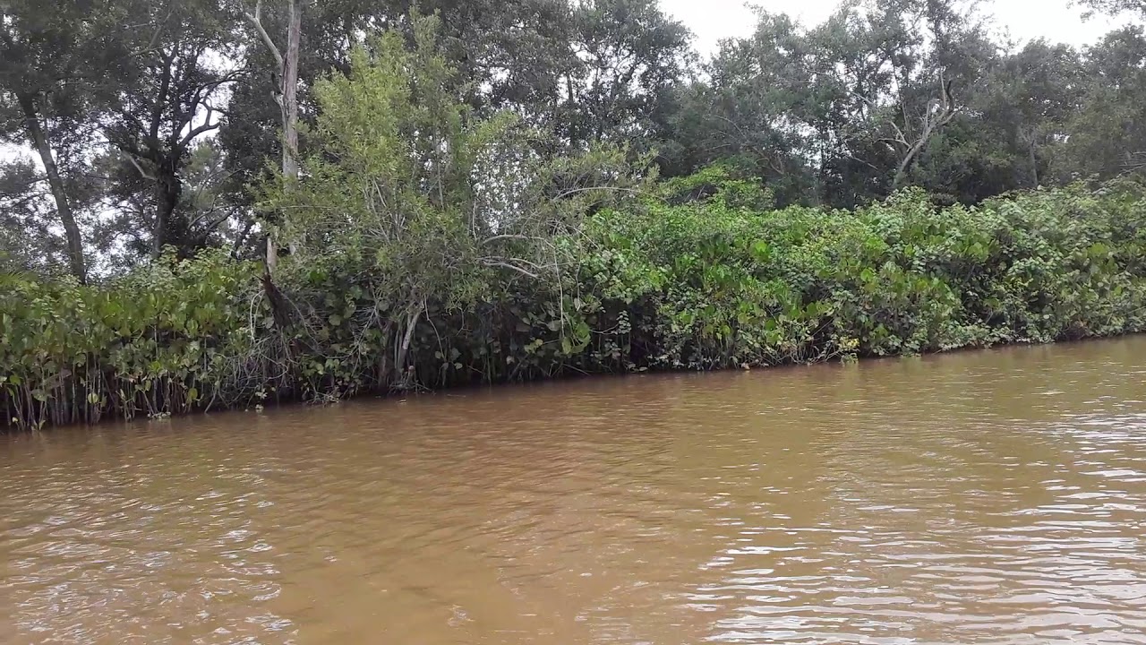 rio manguaba