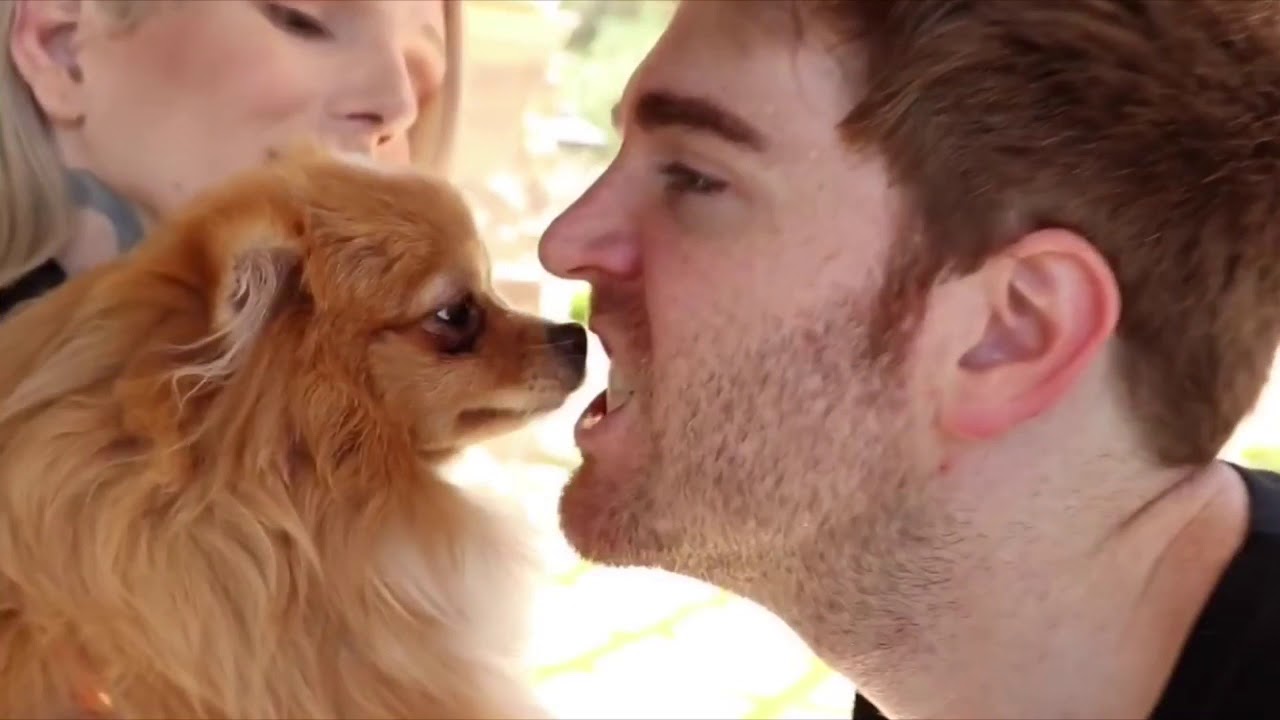 KEEPING UP WITH JEFFREES DOGS (first epizode)