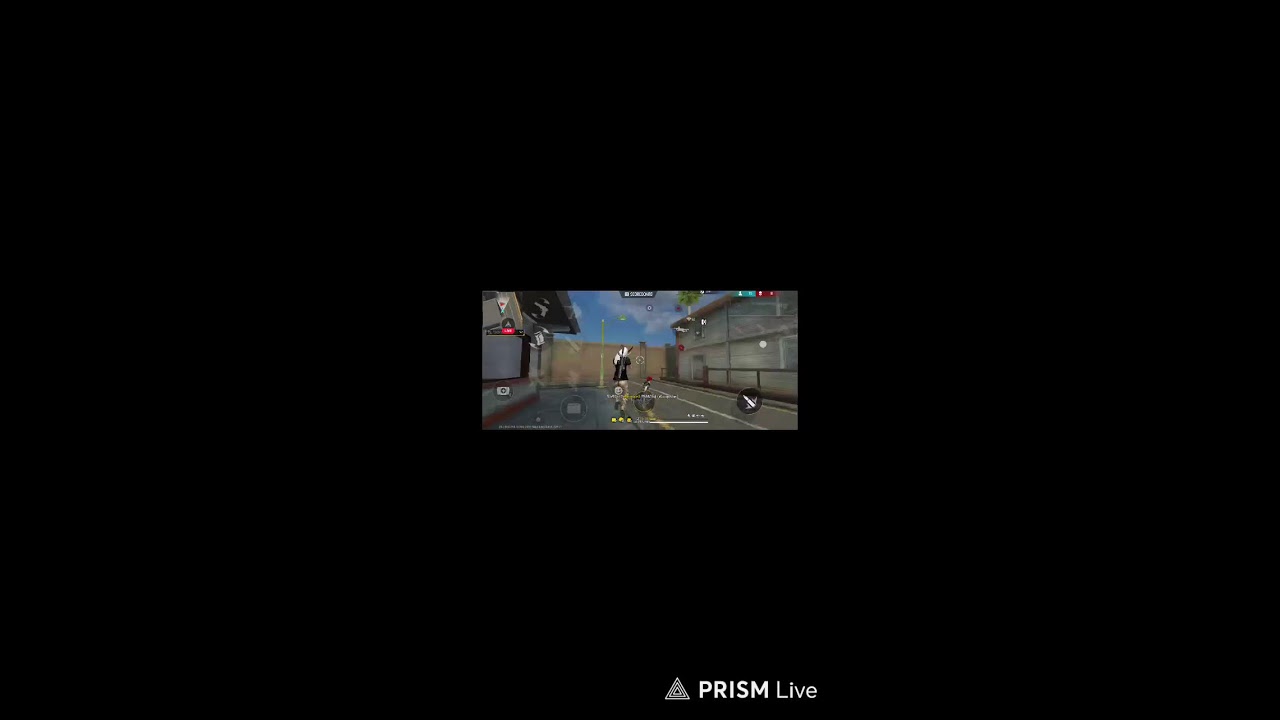 RED AN  Live Stream