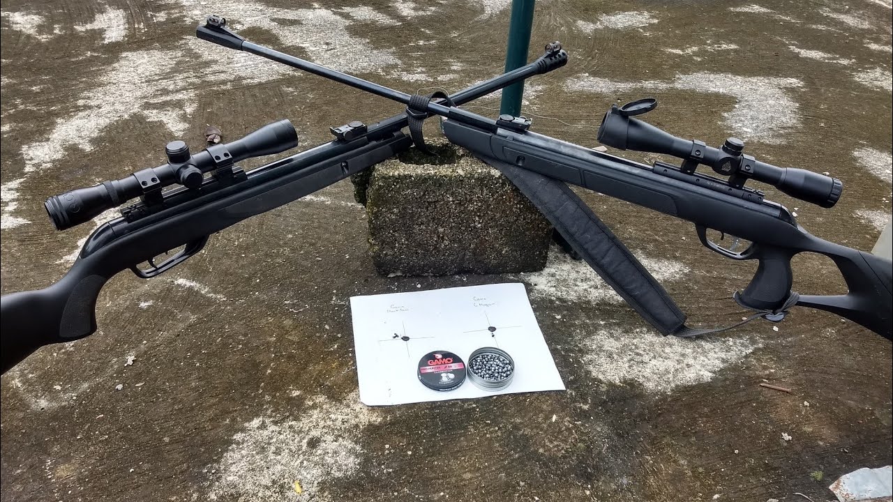 GAMO BLACK BEAR IGT VS GAMO G MAGMUM IGT