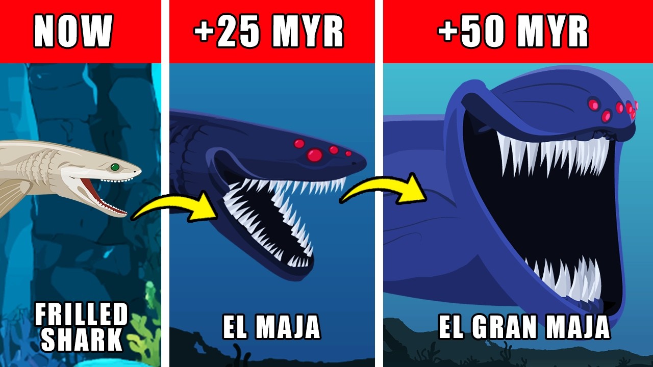 El Gran Maja Origin Evolution: How El Gran Maja Could Have Evolved