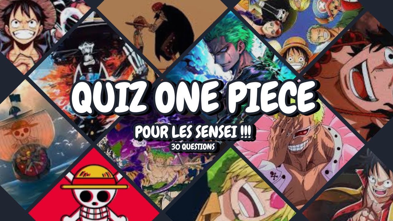 Quiz One Piece : seuls les futurs Rois des Pirates survivront