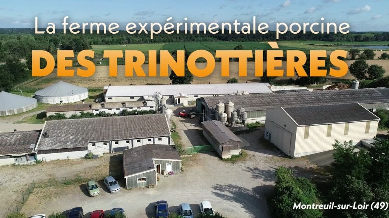Présentation de la ferme expérimentale porcine des Trinottières (49)