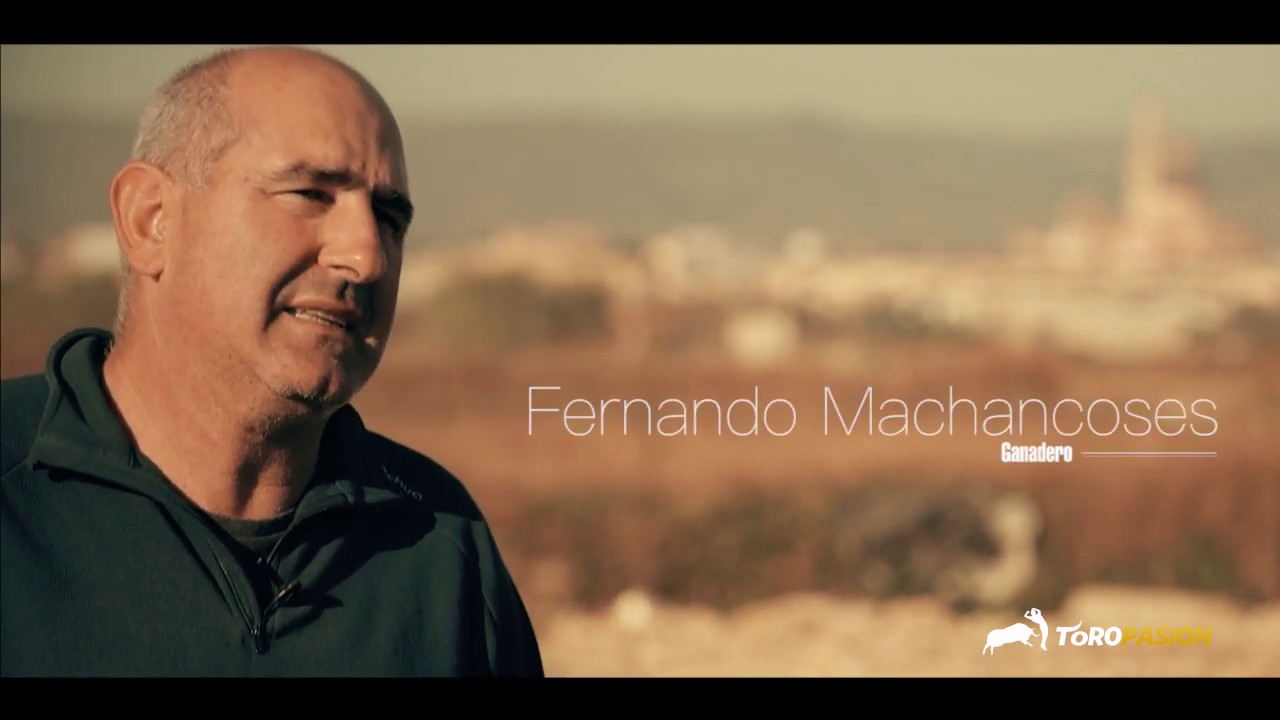 Millonaria de Fernando Machancoses en La Vaca del Millón - Fallas 2019