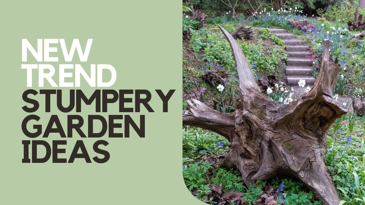 Transform a shady corner of your garden with a stunning stumpery