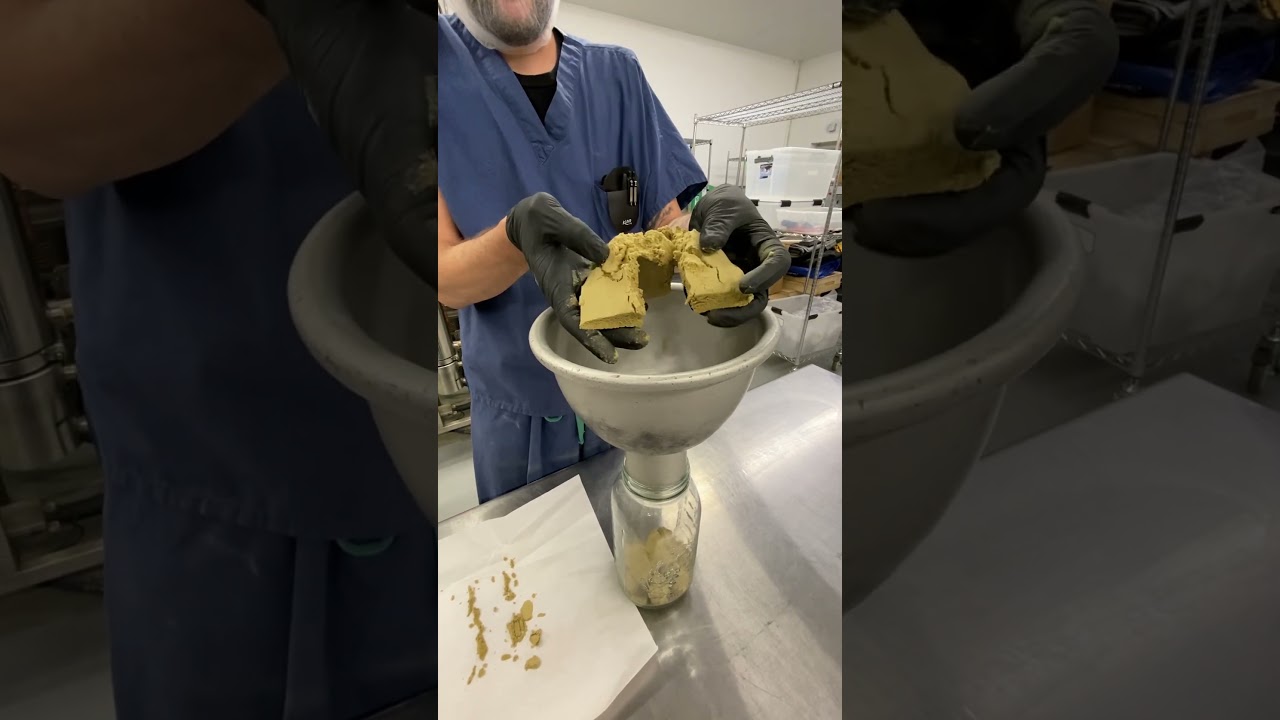 Hash dry sifted. 173u #fyp #viral