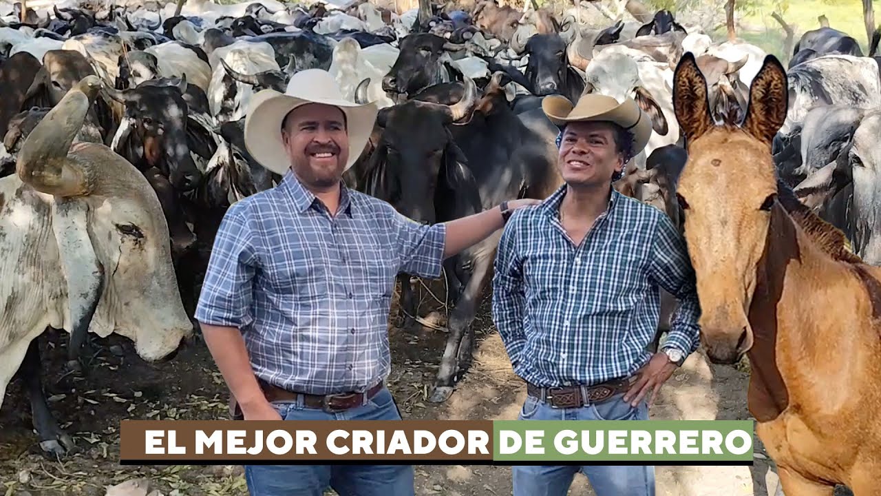 El Doctor que Cría Burros, Mulas y Vacas en Guerrero 🫏🐄🔥