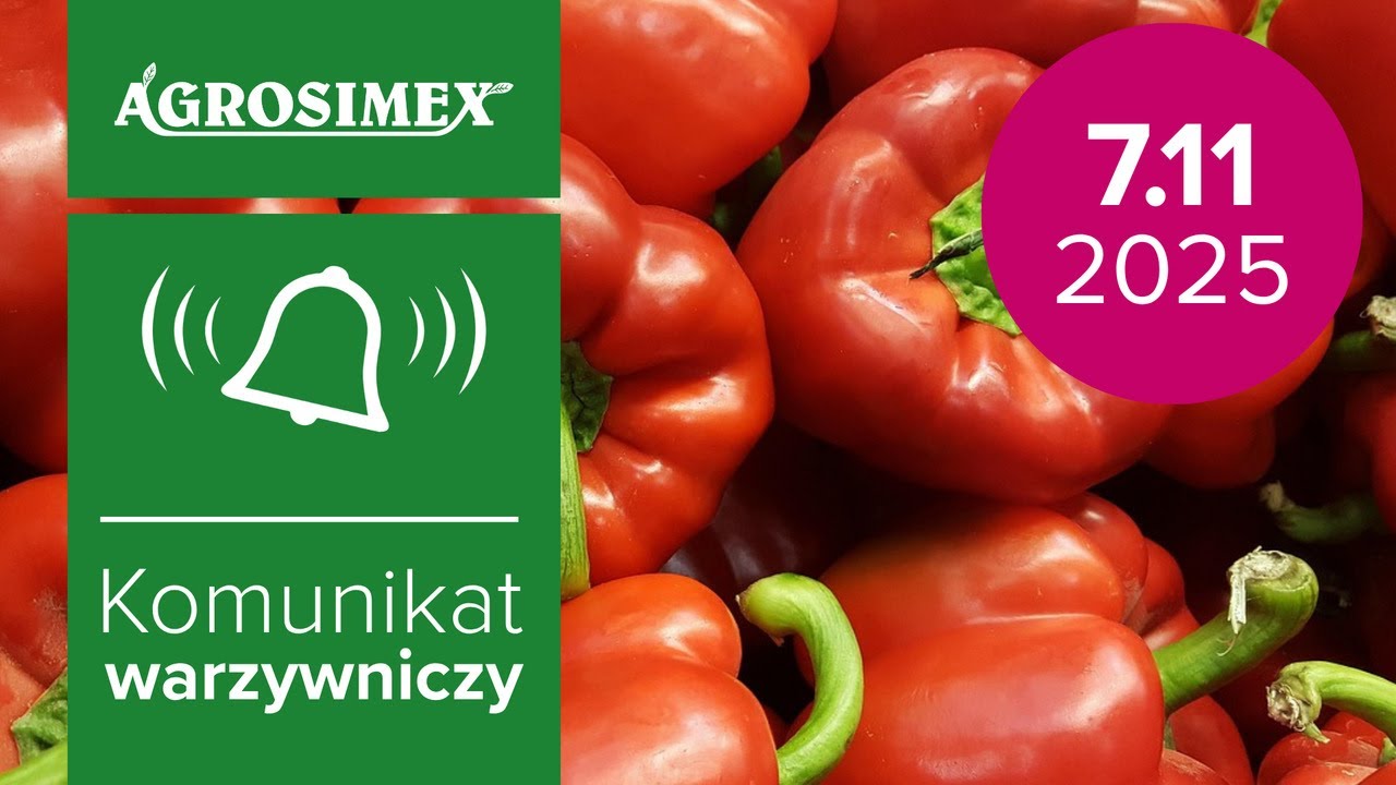 Komunikat Warzywniczy - podsumowanie sezonu w uprawie papryki