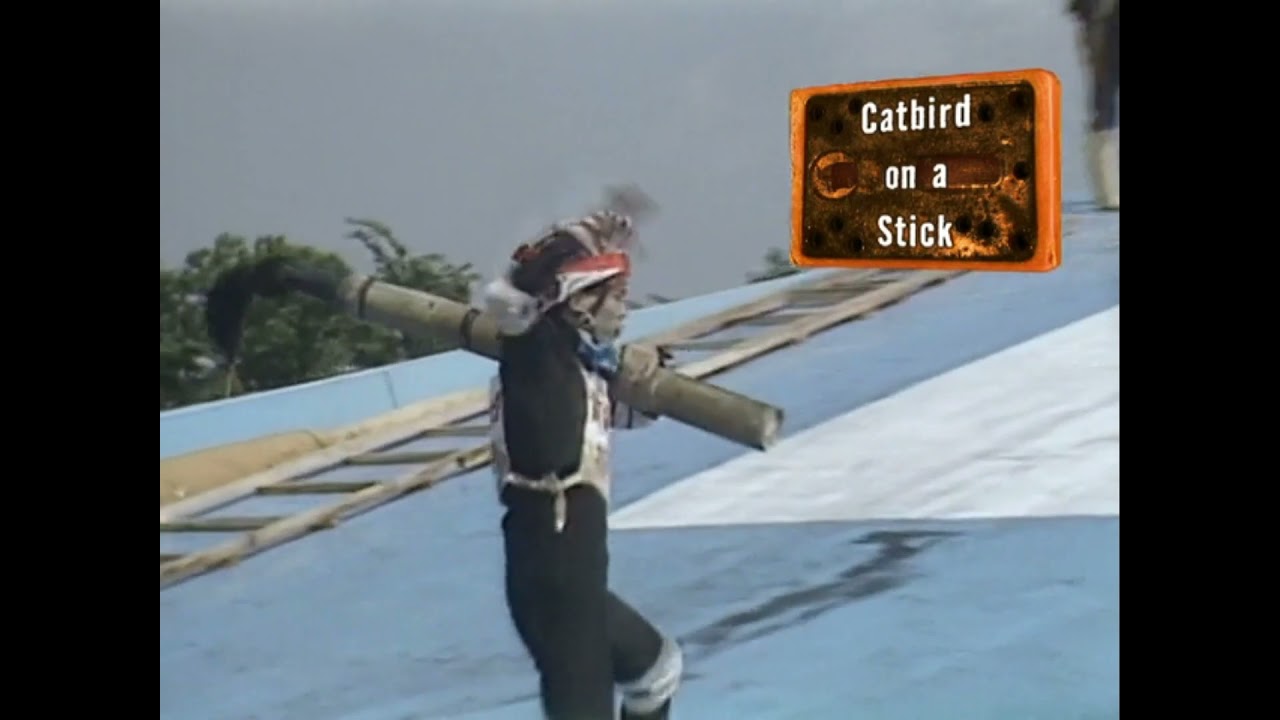 MXC: Most Extreme Elimination Challenge (S3E12) - Catbird on a Stick