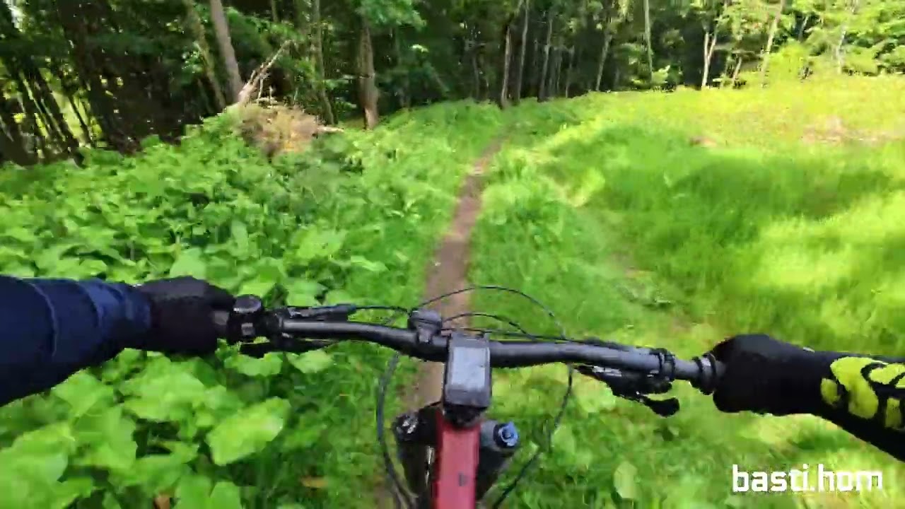 MTB-Trails im Wiehengebirge erkunden