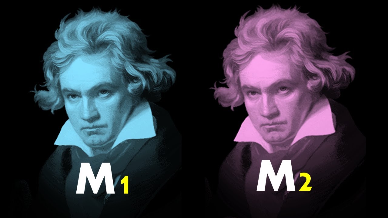Musical Motives, or how to make a big deal out of nothing