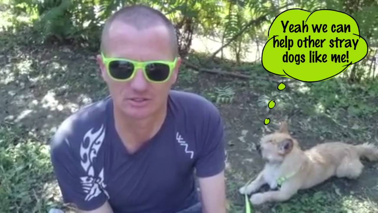 Bring Gobi Home Pupdate 22nd October 2016