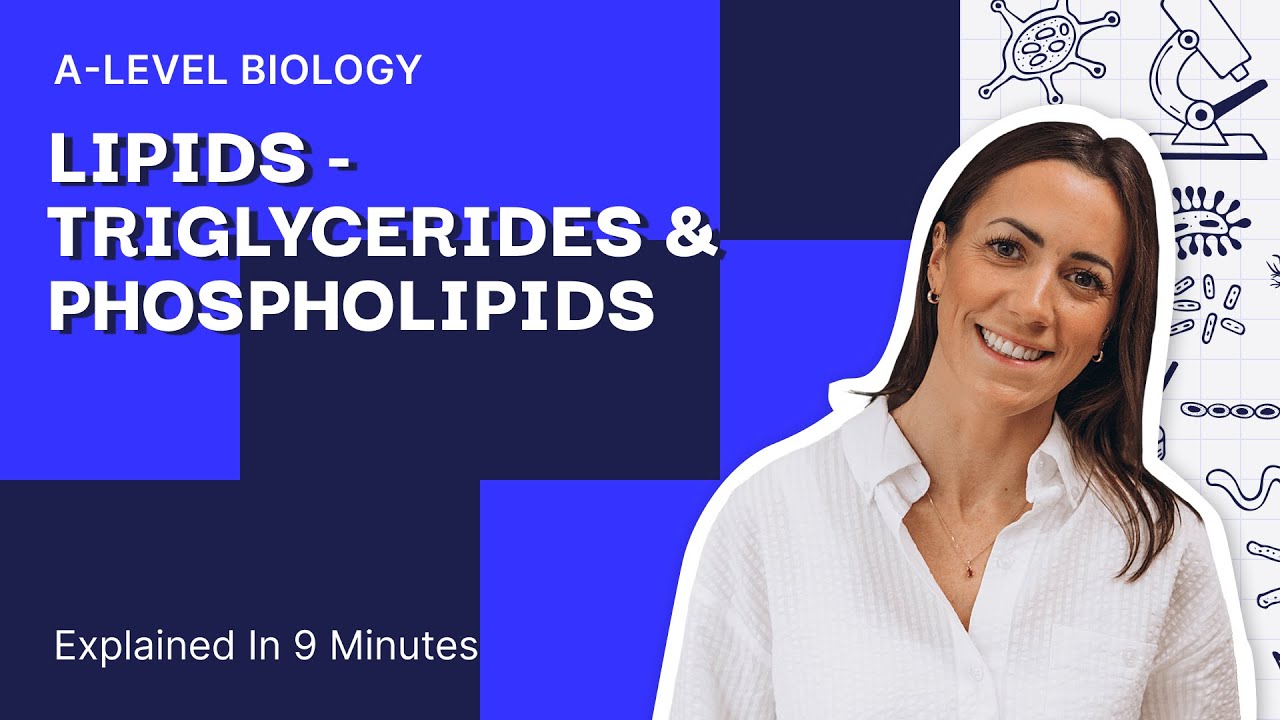 The ONLY Video On Lipids You Need To Watch!