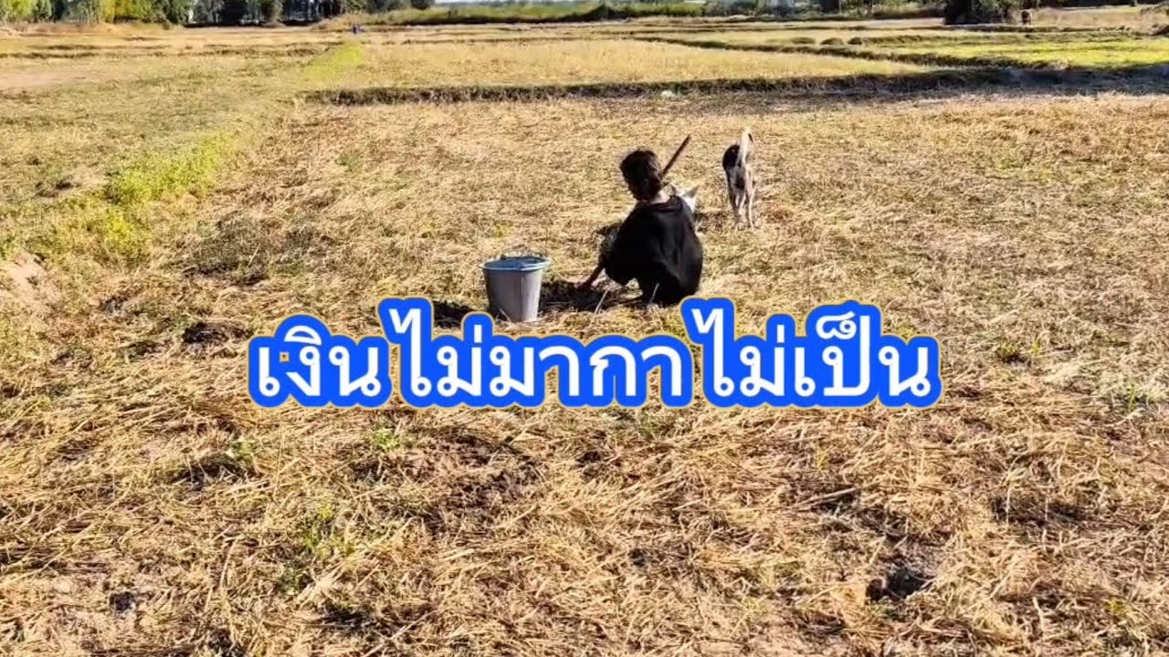 เงินไม่มากาไม่เป็น #ฮาๆขำๆ 