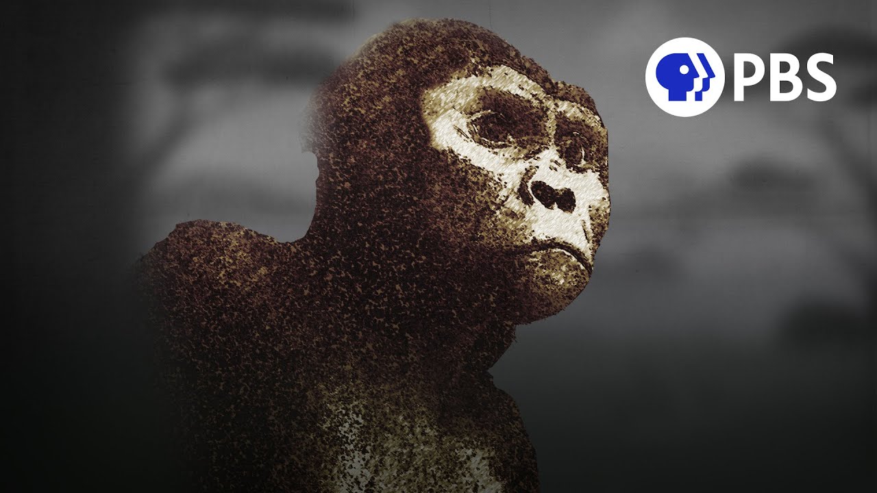 How Did Our Most Famous Ancestor Really Die?