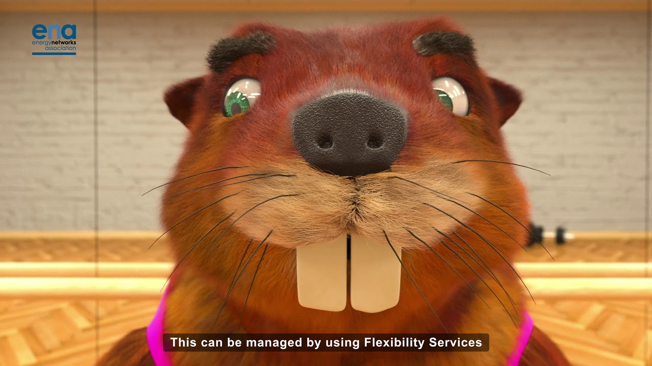 What are flexibility services? Be more beaver - from Energy Networks Association