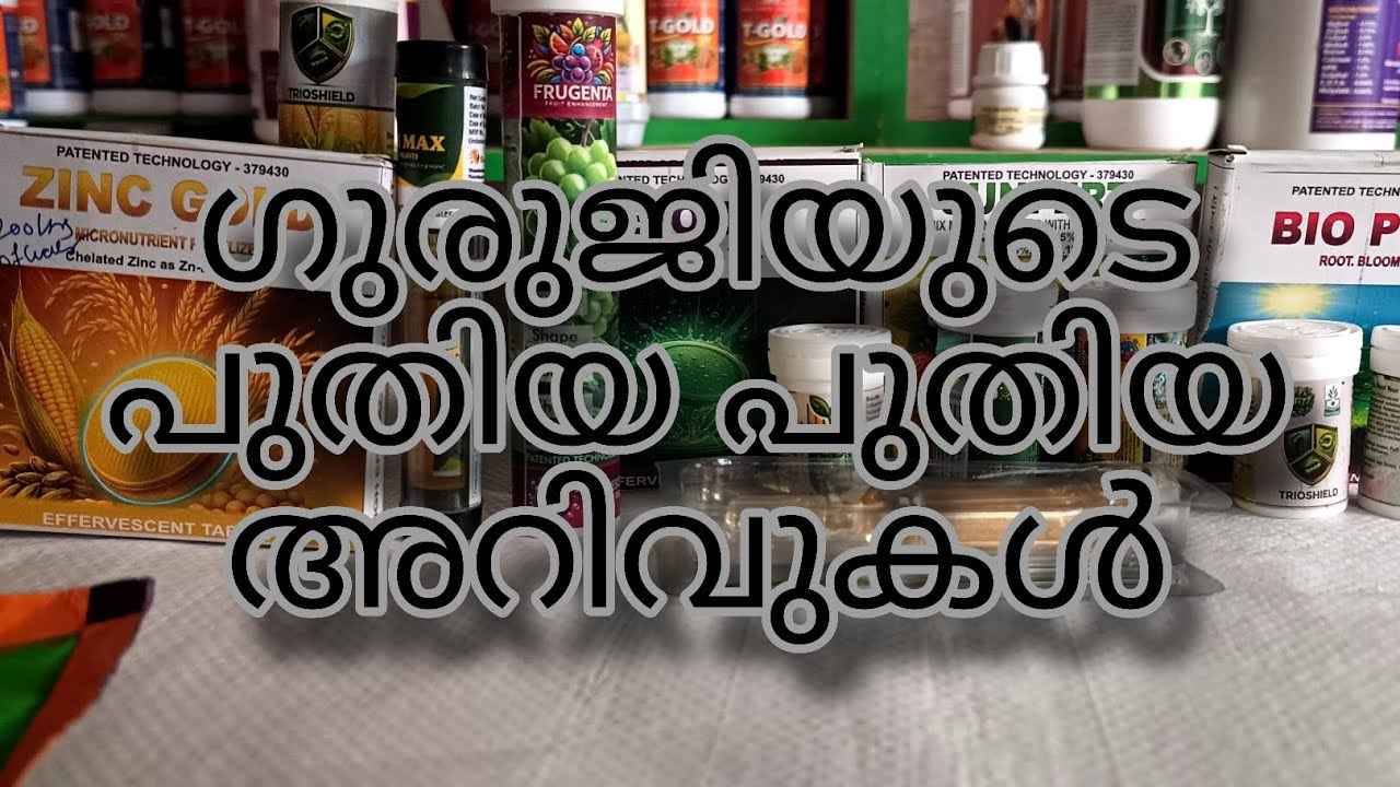 ഗുരുജിയുടെ മഴക്കാല പ്രതിരോദവും പുതിയ അറിവുകളും @Prasad Calvary. @Guruji's Cardamom #cardamom #farm