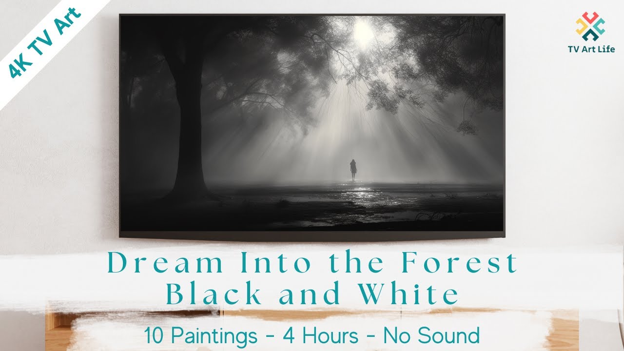 Dive into Dreamy B&W Forests: 4K Enchanted Woods | Frame TV Art | 4 Hours | No Sound