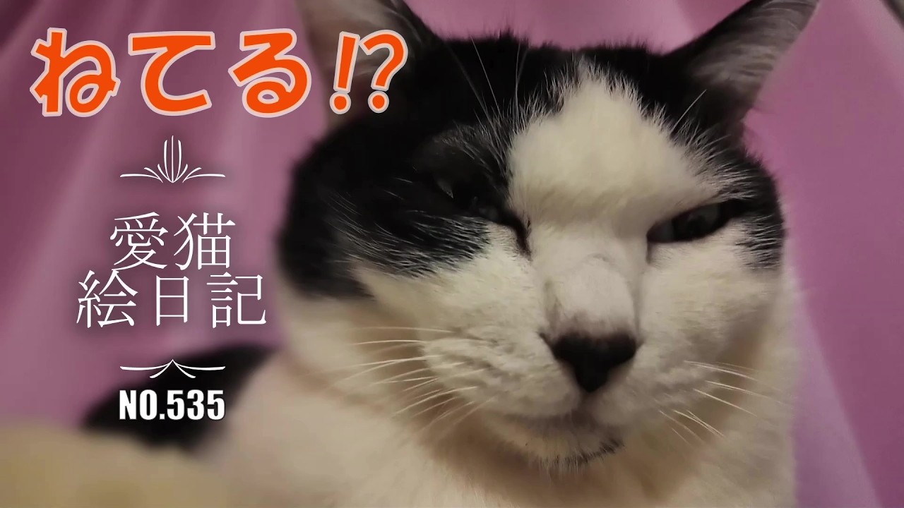 【愛猫絵日記-535】これは、寝てるよね・・・