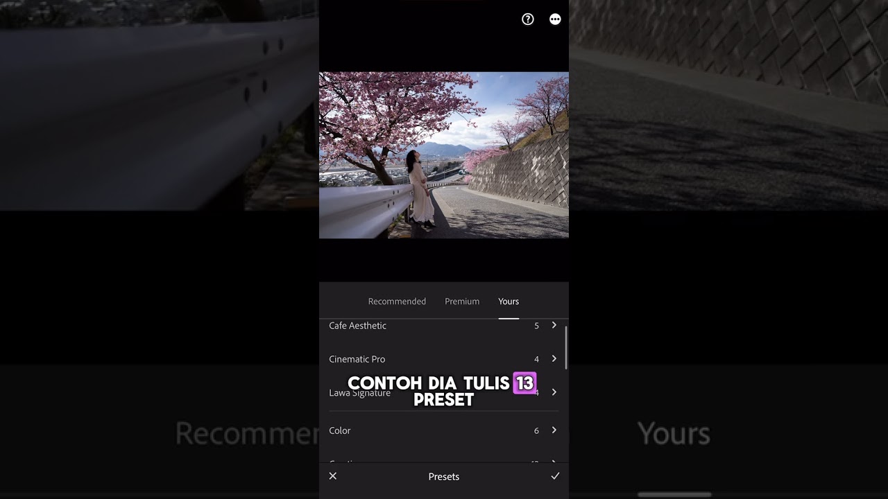 Tutorial Import Presets Lightroom Mobile dari ZIP file