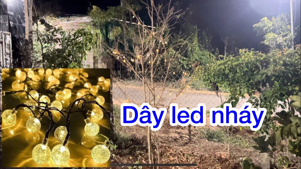 Dây led nháy trang trí năng lượng mặt trời