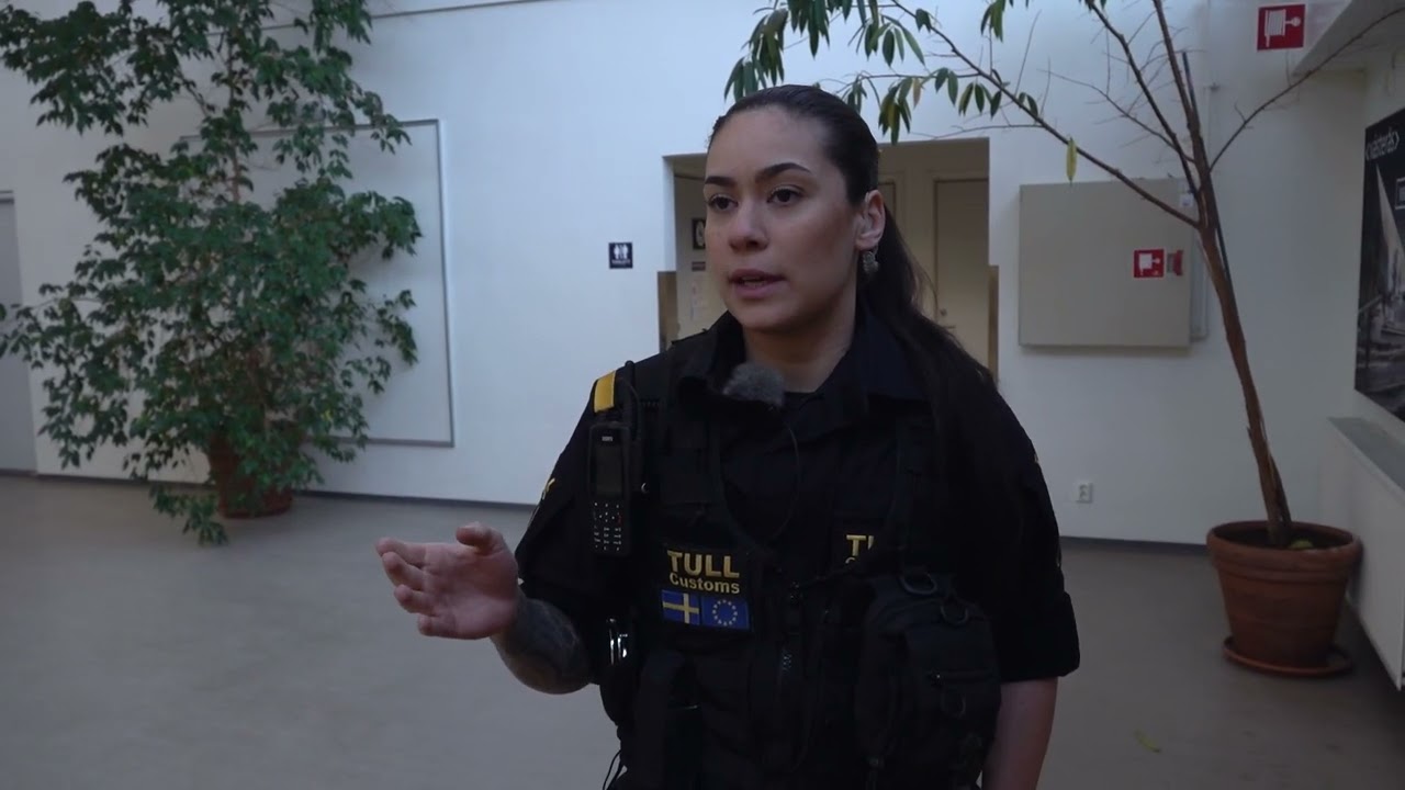 Följ med tullen på Västerås flygplats: ”Hunden är tränad på narkotika och vapen”