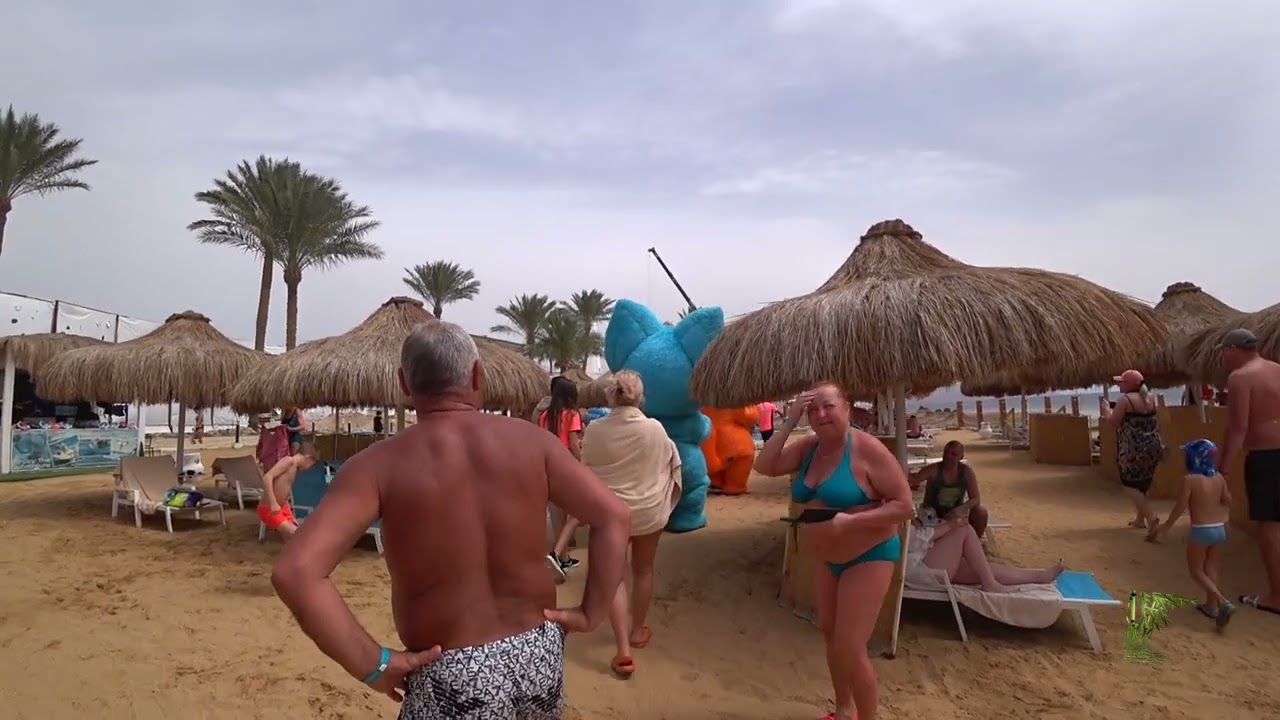 Sunrise Remal Resort-Пляж 09.03.24г.Sharm-El-Sheikh.