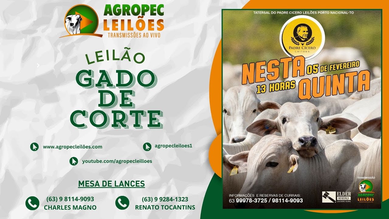Agropecleiloes.com LEILÃO GADO DE CORTE | PADRE CÍCERO - PORTO NACIONAL-TO 05/02/2026.