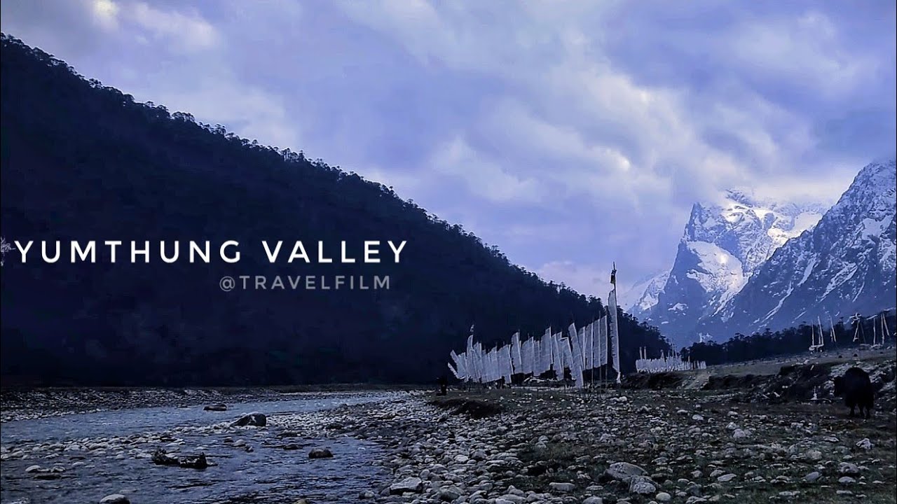 Yumthung Valley ~ Valley of Flowers (Sikkim) Relaxing Virtual Tour | Silent Traveller