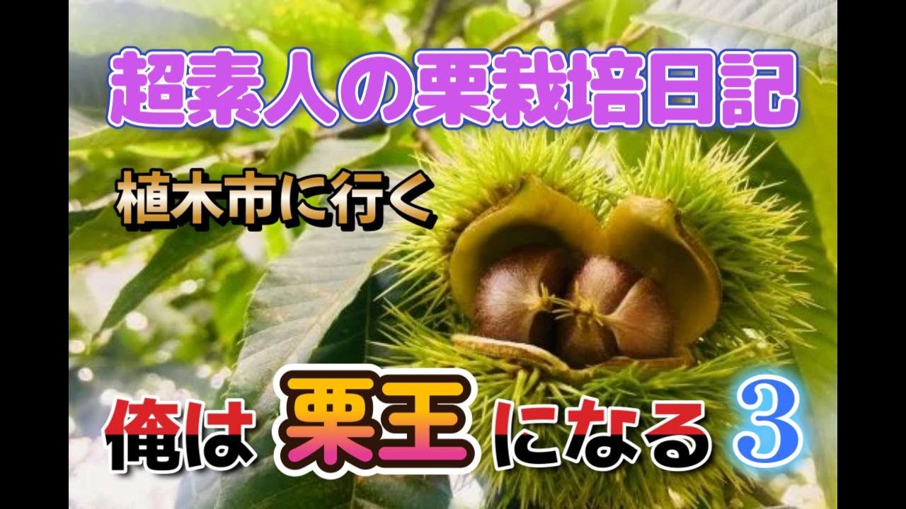 超素人の栗栽培日記　栗王への道3　春のJA植木市に行く！