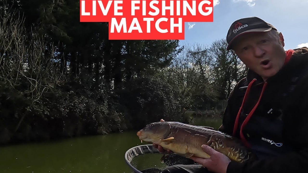 Live Fishing Match, Mill Farm Lakes Great Ellingham, #matchfishinguk