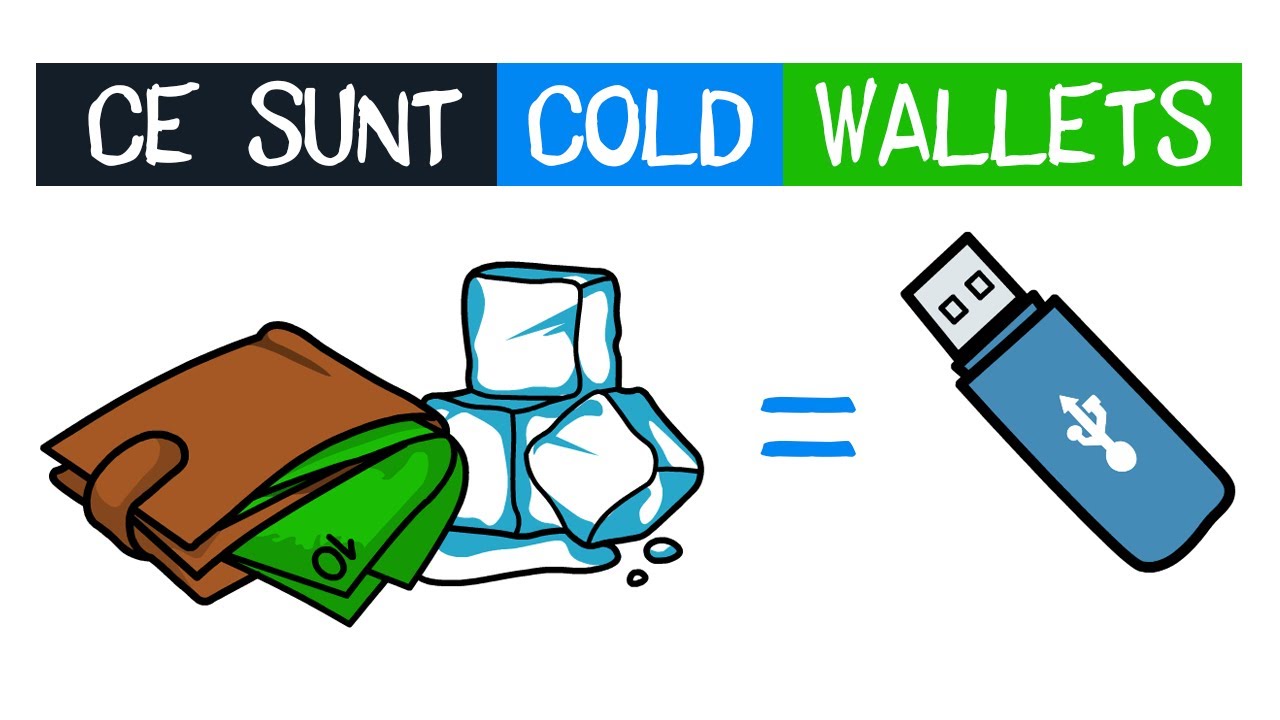 Cold Wallets - Ce sunt si cum functioneaza acestea | Animatie | Cryptomatics