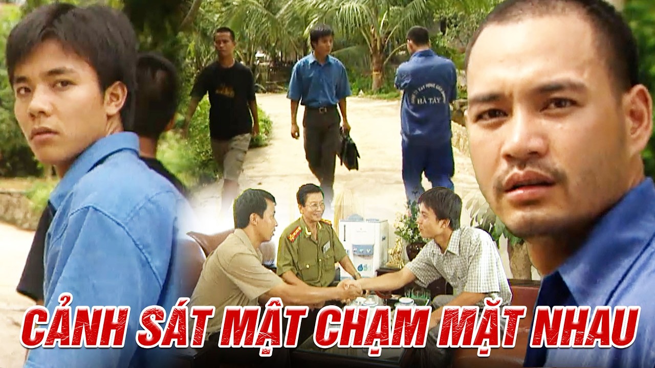 Cuộc đụng mặt đầy căng thẳng giữa hai cảnh sát mật | Cổ cồn trắng | Kho Phim VTV
