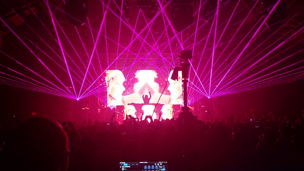 Seven Lions at the Knockdown Center